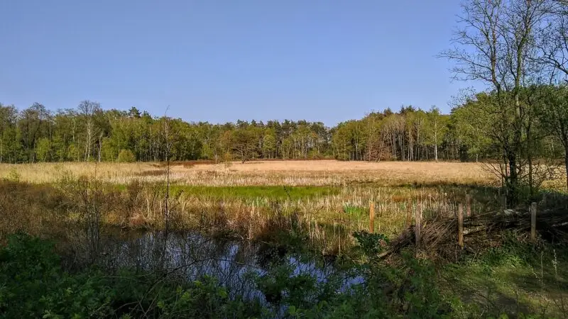 Raakmoor, Langenhorn, Hamburg, Deutschland - Raakmoor