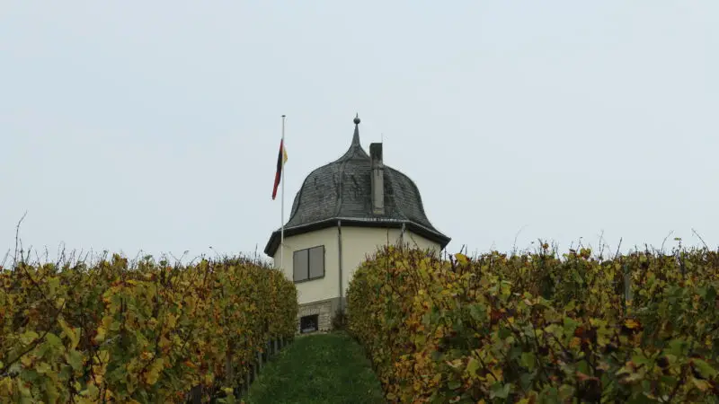 Sülzbachtal (Eltviller Stadtwald) - Rauenthal 28AuC39Ferhalb 229 WeinberghC3A4usschen BubenhC3A4user HC3B6he 03