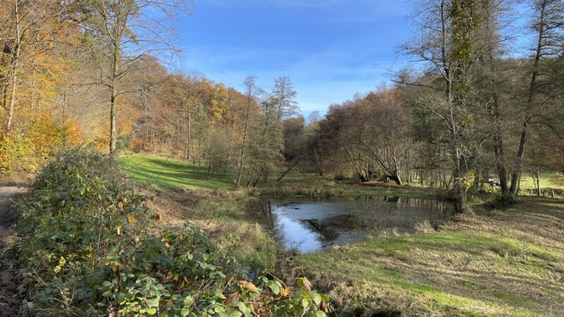 Eifgenbachweg / Eifgenbachtal - RausmC3BChle MC3BChlenteich 28129