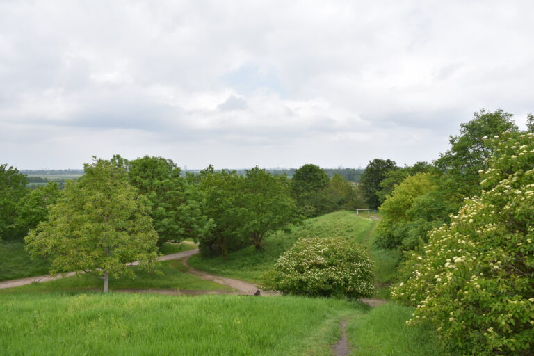 Blick auf Ludwigshafen am Rhein