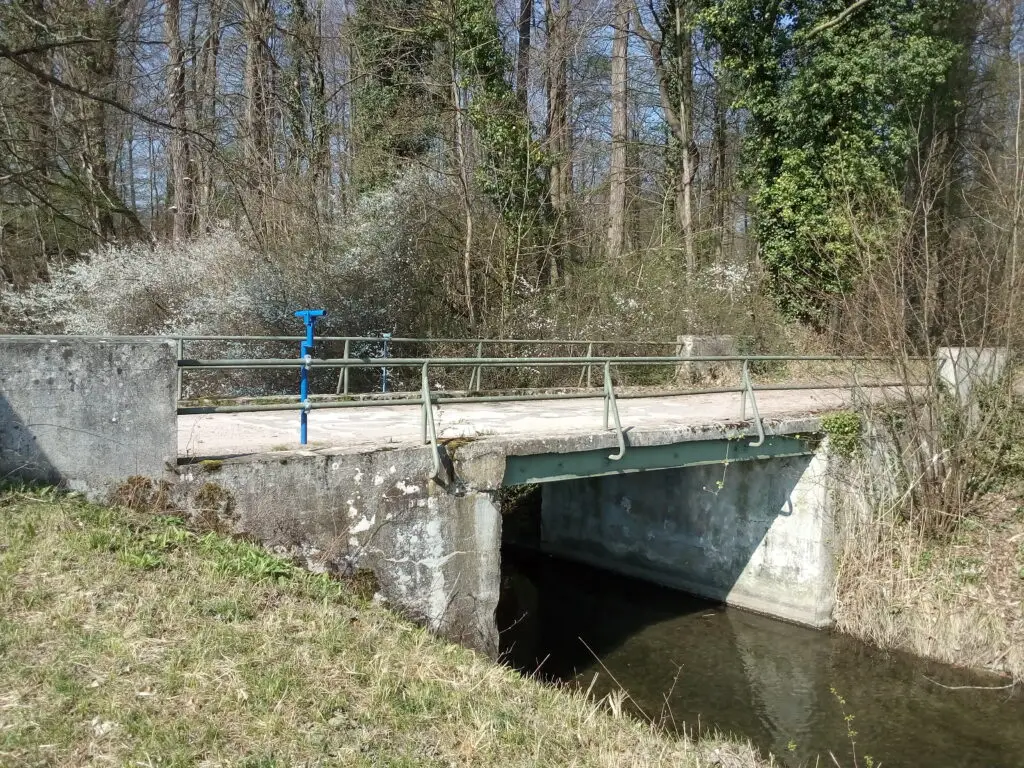 Murgauen bei Rastatt (Naturschutzgebiet Rastatter Ried / Rheinauen)
