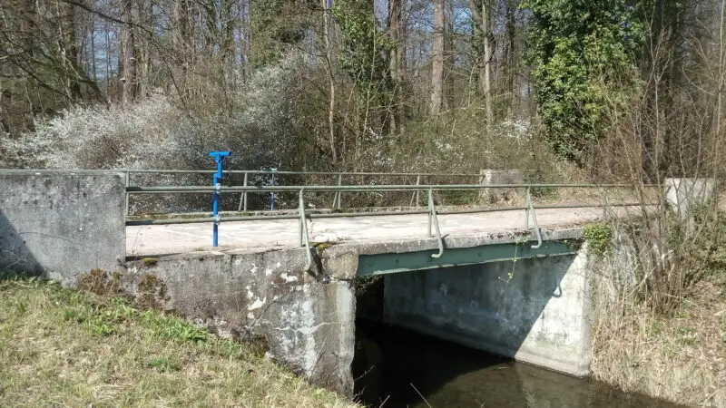 Murgauen bei Rastatt (Naturschutzgebiet Rastatter Ried / Rheinauen) - Riedkanal2C BrC3BCcke am NSG Rastatter Ried