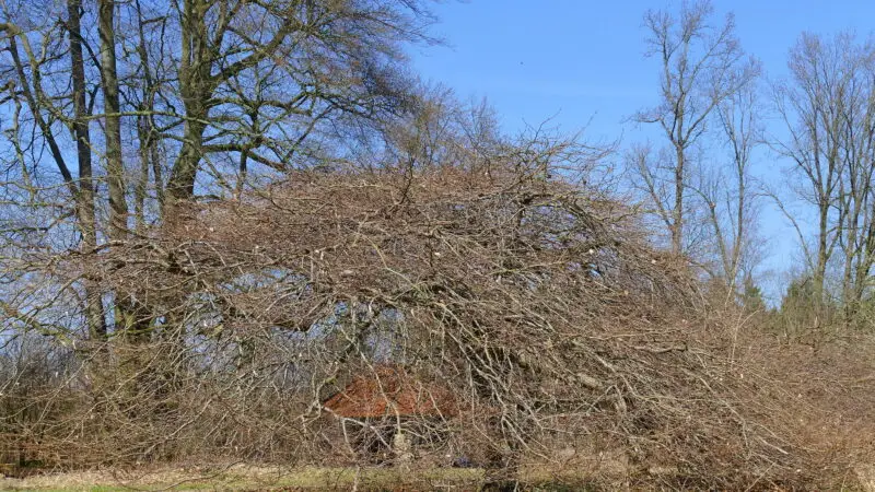 Naturpark Weserbergland – Klippenformation Süntel (Wanderparkplatz Kreuzsteinquelle) - SC3BCntel 28LSG HM 2429 08