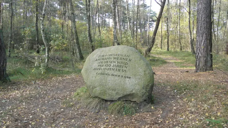 Wernerwald mit Finkenmoor - Sahlenburg2C Wernerwald panoramio