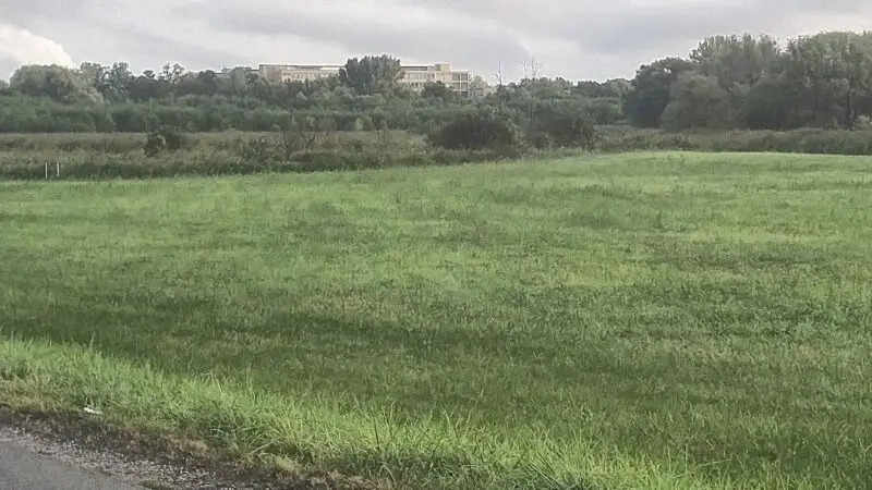 Naturschutzgebiet „Untere Geiselniederung bei Merseburg" / Radweg Salzstraße - Salzwiese bei Zscherben