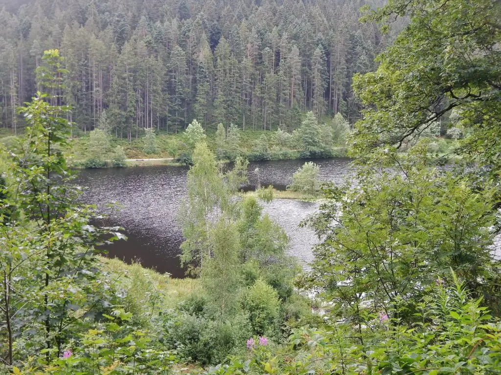 Sankenbachsee und Sankenbach-Wasserfall (Wandergebiet)