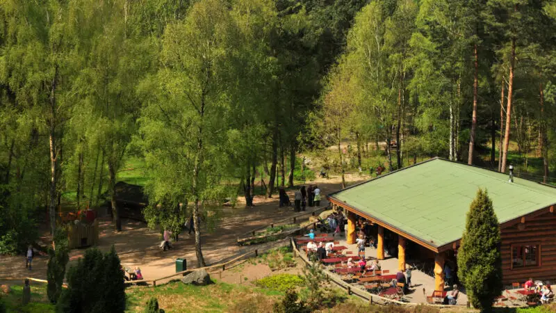 Wildpark Lüneburger Heide (Hanstedt-Nindorf) - SchC3B6ne Aussicht im Wildpark LC3BCneburger Heide