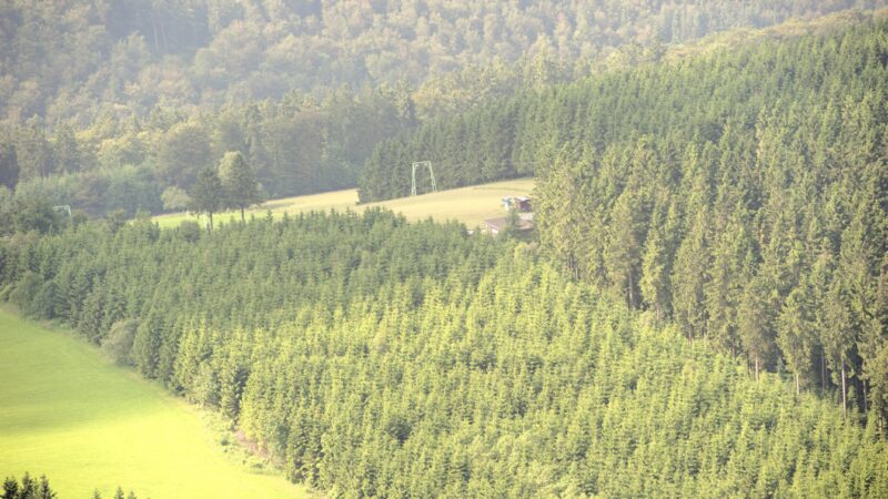 Rothaarsteig (Wanderweg)