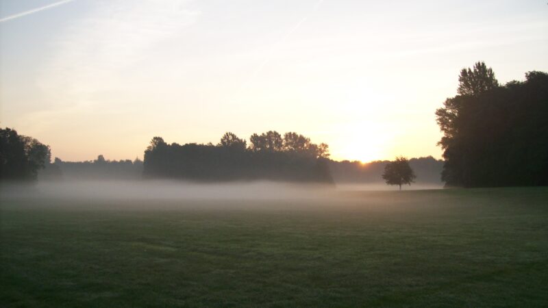 Öjendorfer Park (mit Hundewiese) - Septembermorgen2C C396jendorfer Park panoramio