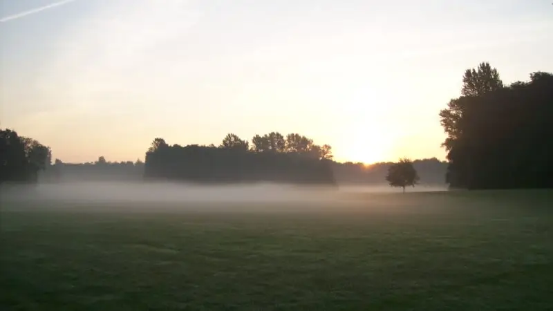 Öjendorfer Park (mit Hundewiese) - Septembermorgen2C C396jendorfer Park panoramio