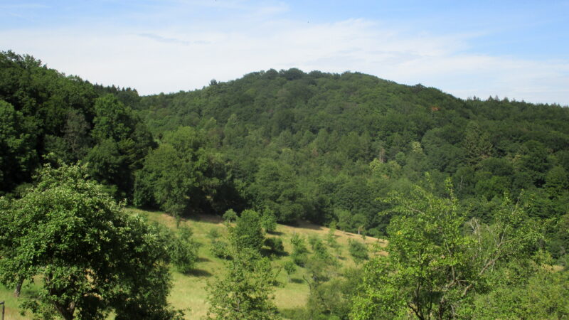 Löwenburg (Siebengebirge)