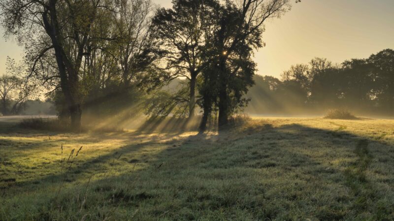 Naturregion Sieg / Siegaue (Siegburg–Troisdorf) - Siegaue NRW Germany