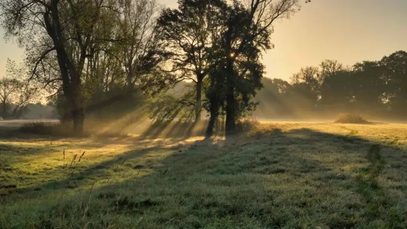 Naturregion Sieg / Siegaue (Siegburg–Troisdorf) - Siegaue NRW Germany