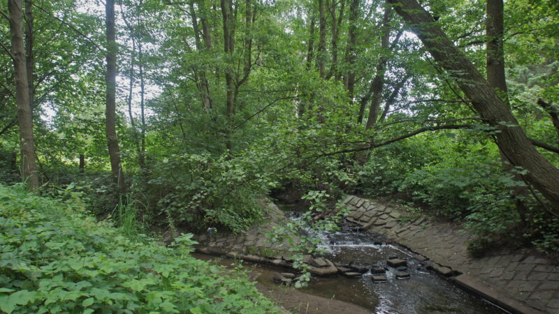 Billewanderweg (Hundewiese an der Bille) - Sleemer un Jenfelder Beek
