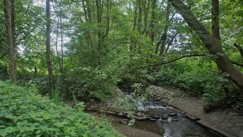 Billewanderweg (Hundewiese an der Bille) - Sleemer un Jenfelder Beek