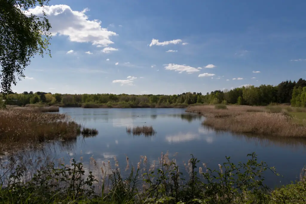 See am Goldberg (Naturschutzgebiet)