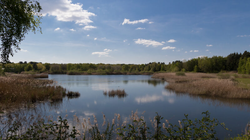 See am Goldberg (Naturschutzgebiet) - Stadt Heusenstamm NSG See am Goldberg