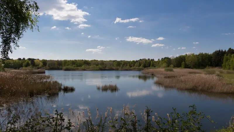 See am Goldberg (Naturschutzgebiet) - Stadt Heusenstamm NSG See am Goldberg