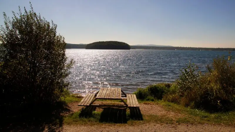 Knappensee Rundweg Wackersdorf Hund - Steinberger See panoramio