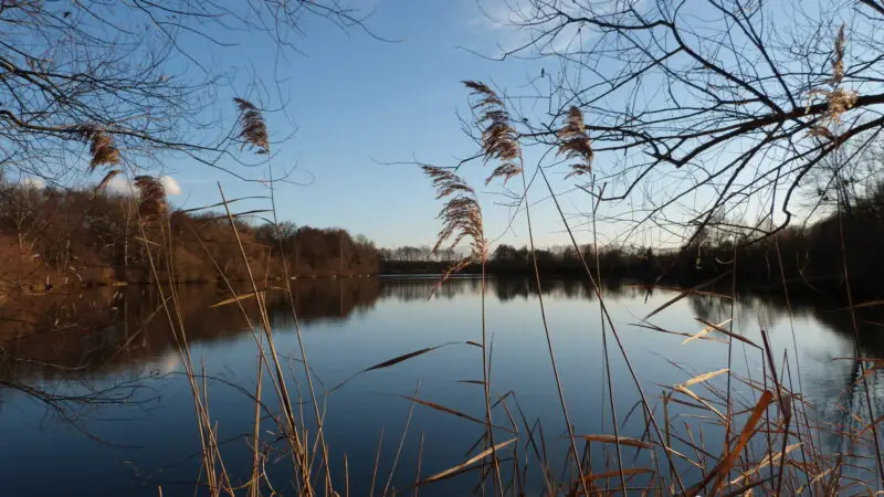 Steinrodsee bei Weiterstadt-Gräfenhausen - Steinrodsee im Dezember 2011 panoramio