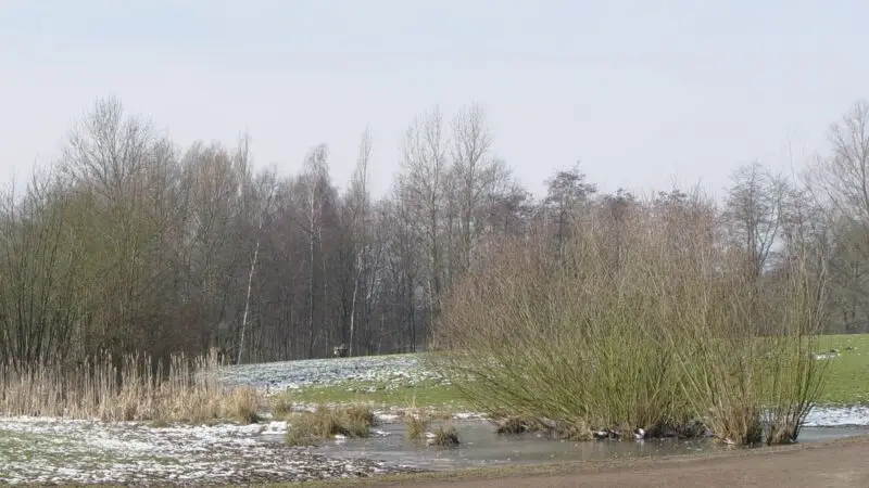 Stellinger Schweiz, Deelwisch, 22529 Hamburg - Stellinger Feldmark W 01