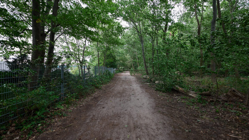 Hundeauslaufgebiet Forst Jungfernheide - Storm damage in Jungfernheide Berlin 2025 06 28 12