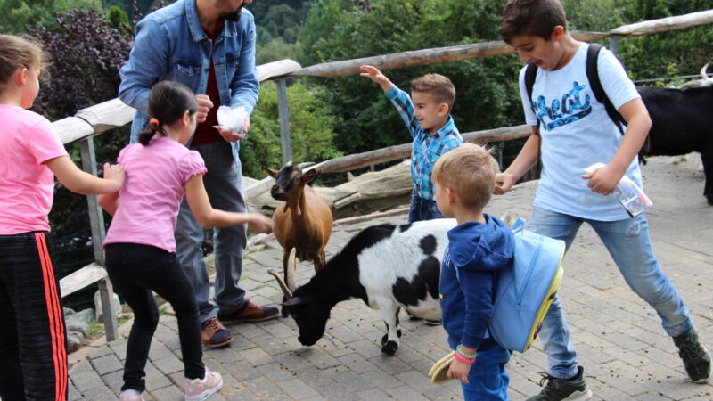 Tierpark Herborn - Streichelgehege Tierpark Herborn