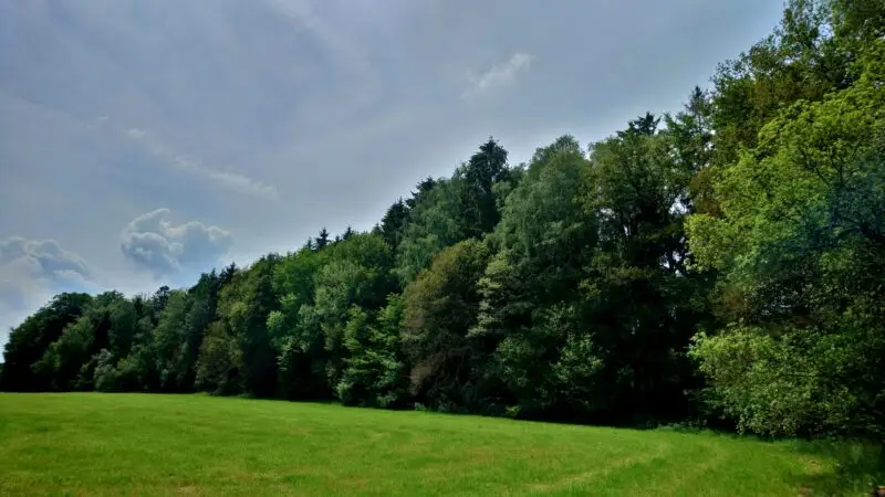 Gederner See (Wetteraukreis, Naturpark Hoher Vogelsberg) - Talauen von Nidder und Hillersbach bei Gedern und Burkhards