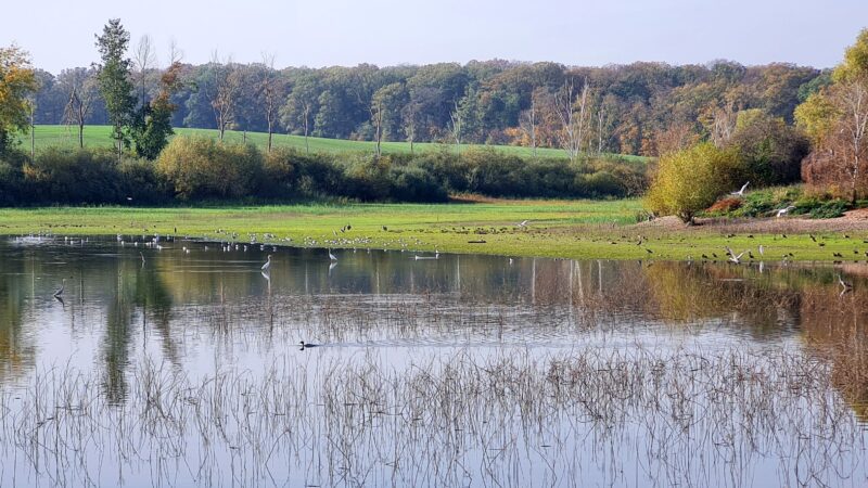 Talsperre Döllnitzsee (Wermsdorf)