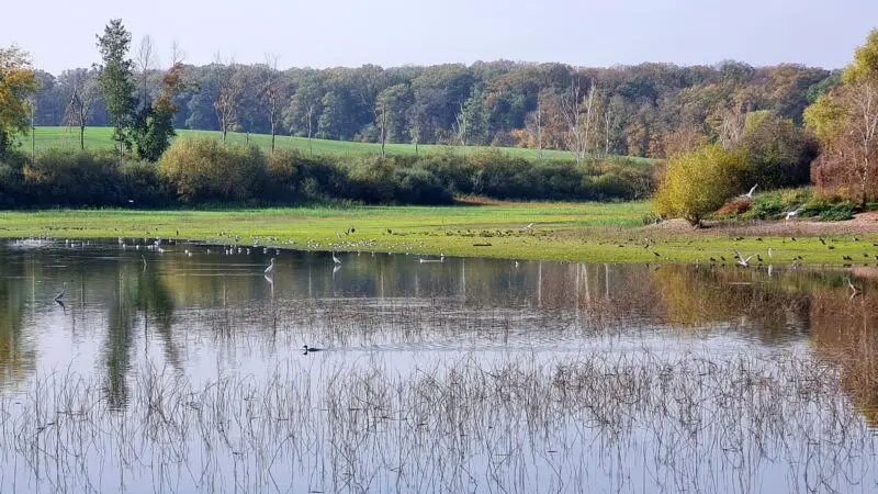 Talsperre Döllnitzsee (Wermsdorf) - Talsperre DC3B6llnitzsee 01