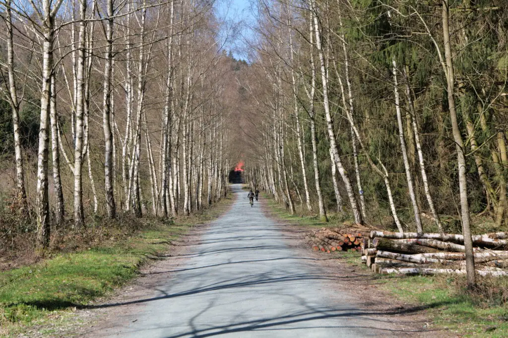 Oberurseler Mühlenwanderweg