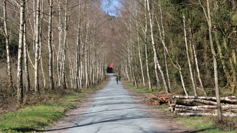 Oberurseler Mühlenwanderweg - Taunus in Oberursel near Urselbach 2020 03 23 01