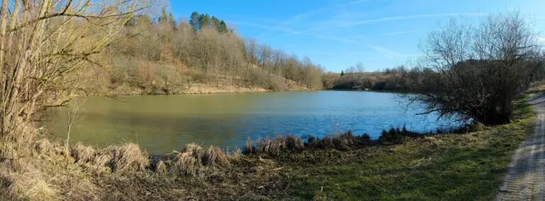 Blick auf Trossingen