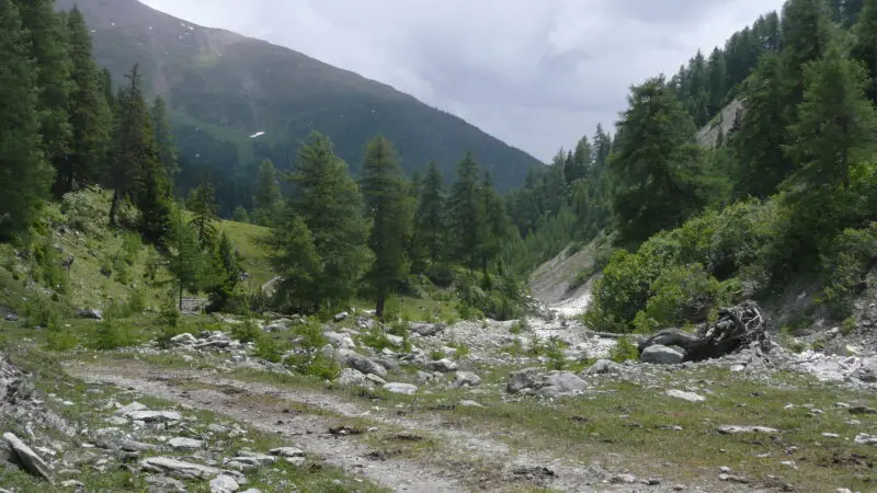 Hängebrückenweg Val Sinestra (Vnà – Val Sinestra) - Val Sinestra bei Ramosch panoramio