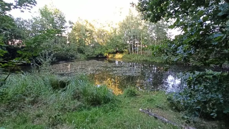 Parkanlage Rahweg, Niendorf, Hamburg - Vierenkampgraben sC3BCdl. Teich