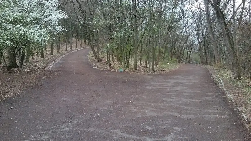 Volkspark Prenzlauer Berg - Volkspark Prenzlauer Berg 28629