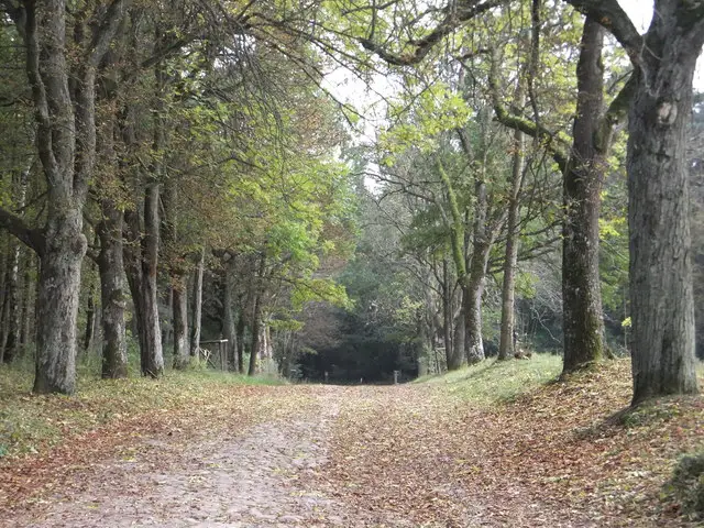 Naturpark Uckermärkische Seen (Besucherzentrum Berliner Tor, Templin)