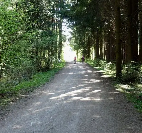 Klimapfad Parsdorfer Hart (Waldlehrpfad) - Waldweg im Parsdorfer Hart geo.hlipp .de 24754