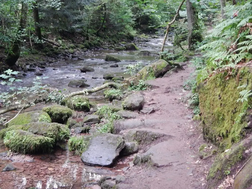 Monbachtal / Monbachschlucht (Bad Liebenzell)