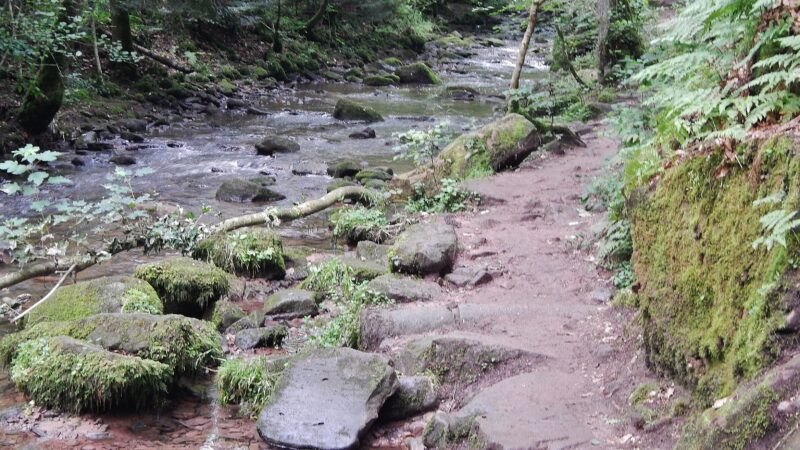 Monbachtal / Monbachschlucht (Bad Liebenzell) - Wanderweg im Monbachtal panoramio