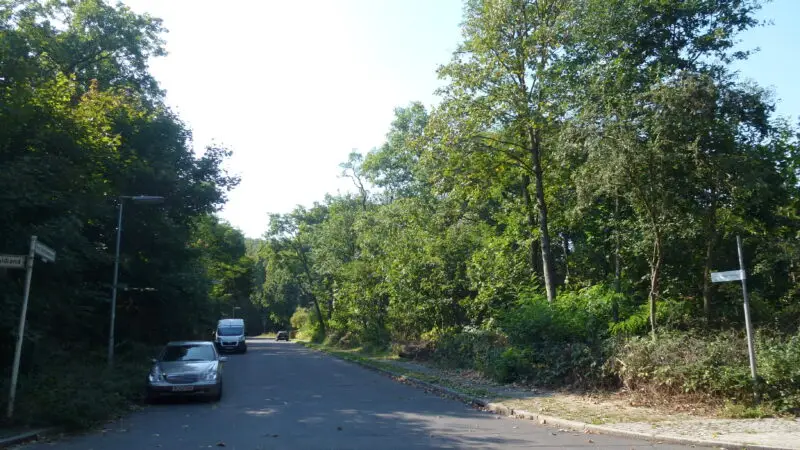 Hundeauslaufgebiet Wannsee-Düppel (Düppeler Forst) - Wannsee Am BC3B6ttcherberg 001