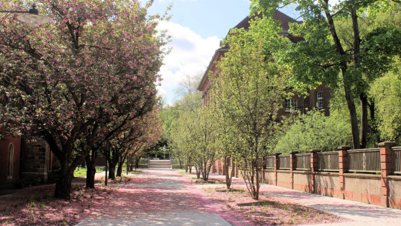 Finnewanderweg (Abschnitt ab Weißenfels) - WeiC39Fenfels2C der Rosalskyweg 1