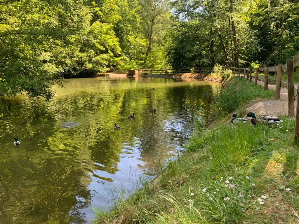 Wildpark Brudergrund