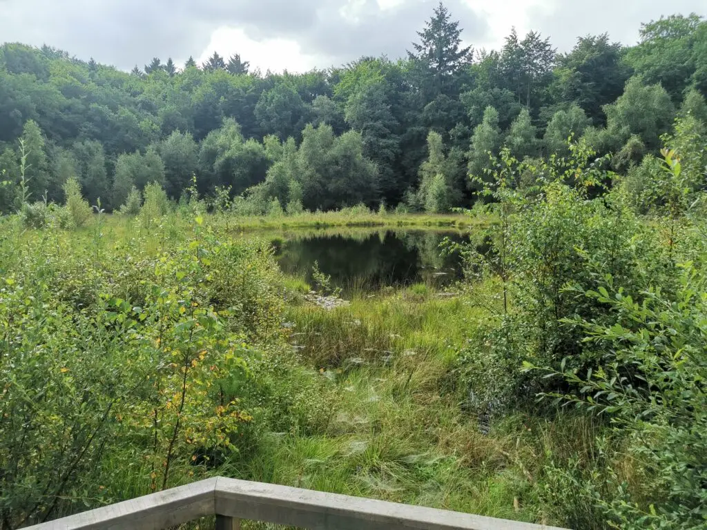 Wildpark Mölln (Bildungszentrum Uhlenkolk)