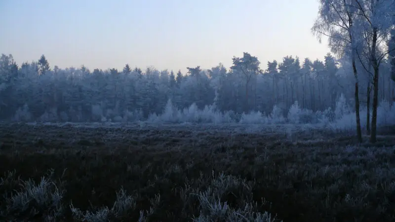 Schwarzes Wasser Wesel - Winterimpression Schwarzes Wasser2C Heide