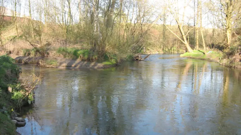 Hoffmannswiesen an der Bega, Bad Salzuflen - Zusammenfluss Bega und Salze
