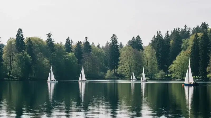 Symbolbild: ein ruhiger See mit Segelbooten spiegelt die Wälder Zürichs wider