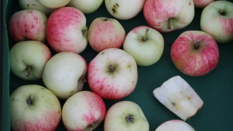 Apfel