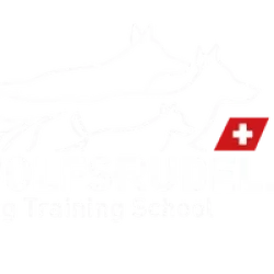 000-finale-wolfrudel-white_2