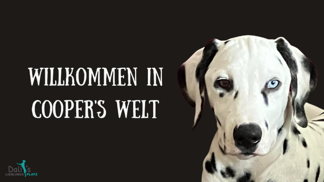 Coopers-Welt-Thumbnail